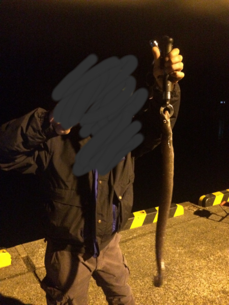 アジアナゴヤガラ